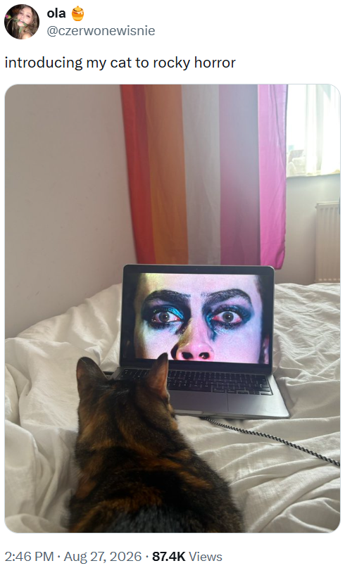 ola @czerwonewisnie introducing my cat to rocky horror . 2:46 PM ⚫ Aug 27, 2026 87.4K Views .