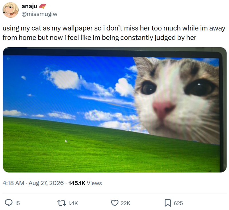 anaju @missmugiw using my cat as my wallpaper so i don't miss her too much while im away from home but now i feel like im being constantly judged by her 4:18 AM • Aug 27, 2026 145.1K Views 15 1.4K 22K 625