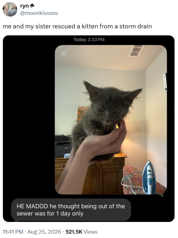 ryn* @moonkissses me and my sister rescued a kitten from a storm drain Today 3:33PM HE MADDD he thought being out of the sewer was for 1 day only 11:41 PM • Aug 25, 2026 521.5K Views