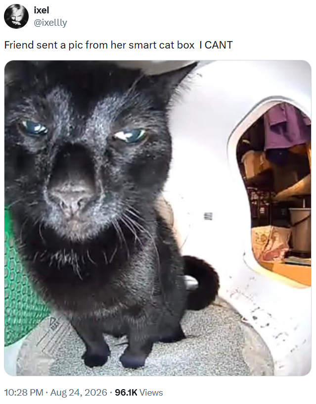 ixel @ixellly Friend sent a pic from her smart cat box I CANT 10:28 PM. Aug 24, 2026 96.1K Views