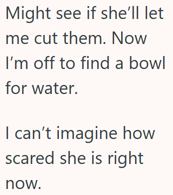 Might see if she'll let me cut them. Now I'm off to find a bowl for water. I can't imagine how scared she is right now.