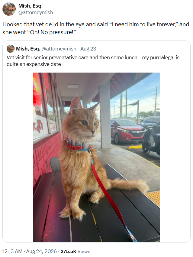 Mish, Esq. @attorneymish I looked that vet de d in the eye and said "I need him to live forever," and she went "Oh! No pressure!" Mish, Esq. @attorneymish - Aug 23 Vet visit for senior preventative care and then some lunch... my purrralegal is quite an expensive date 12:13 AM - Aug 24, 2026 - 275.5K Views