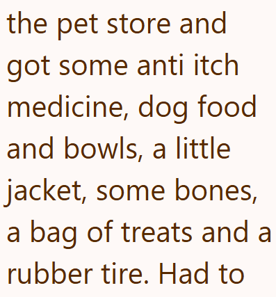 the pet store and got some anti itch medicine, dog food and bowls, a little jacket, some bones, a bag of treats and a rubber tire. Had to