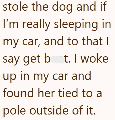 stole the dog and if I'm really sleeping in my car, and to that I say get bt. I woke up in my car and found her tied to a pole outside of it.