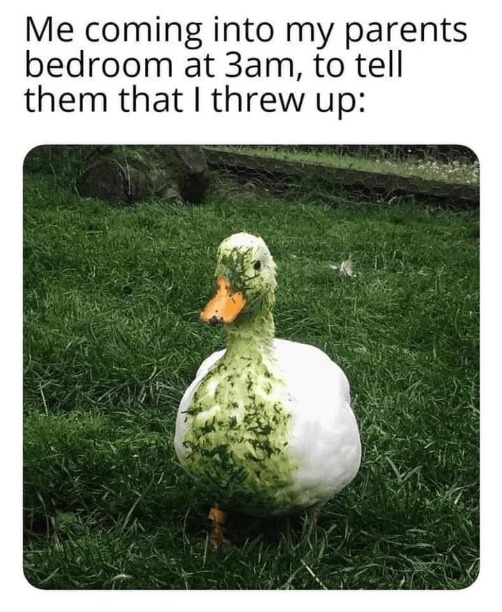 Me coming into my parents bedroom at 3am, to tell them that I threw up: