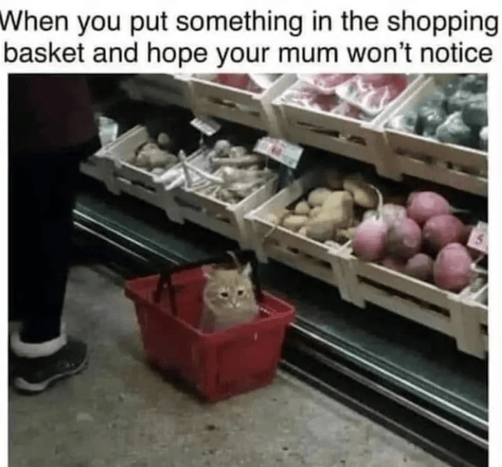 When you put something in the shopping basket and hope your mum won't notice