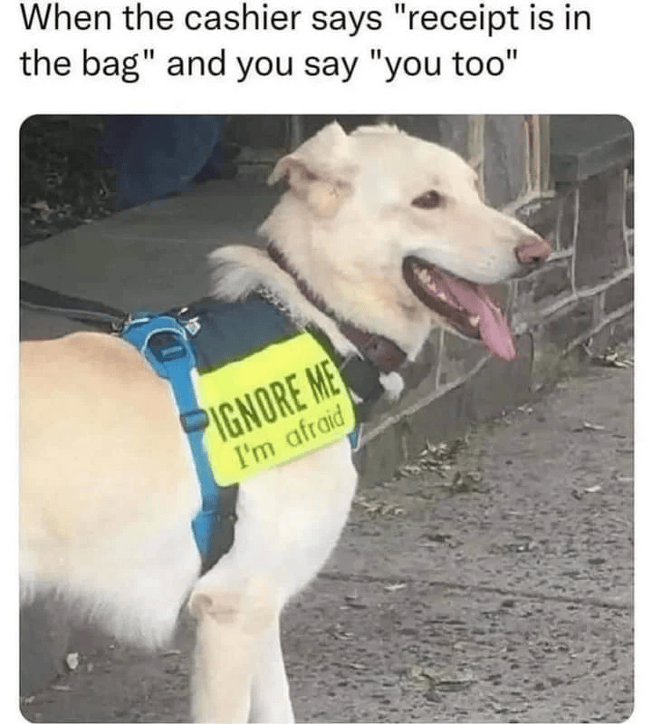 When the cashier says "receipt is in the bag" and you say "you too" PIGNORE ME I'm afraid