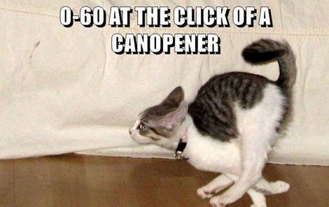 0-60 AT THE CLICK OF A CANOPENER