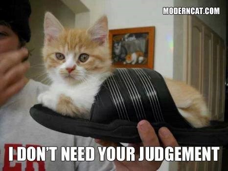 MODERNCAT.COM I DON'T NEED YOUR JUDGEMENT