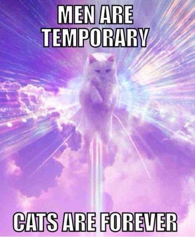MEN ARE TEMPORARY CATS ARE FOREVER