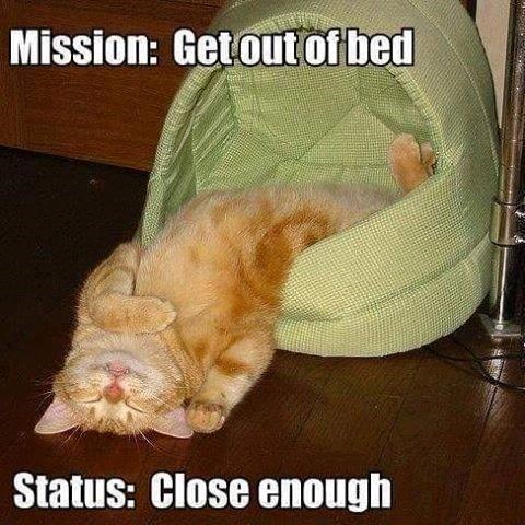 Mission: Get out of bed Status: Close enough