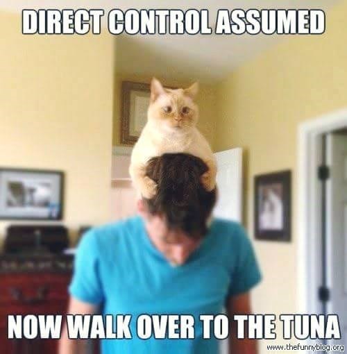 DIRECT CONTROL ASSUMED NOW WALK OVER TO THE TUNA www.thefunnyblog.org
