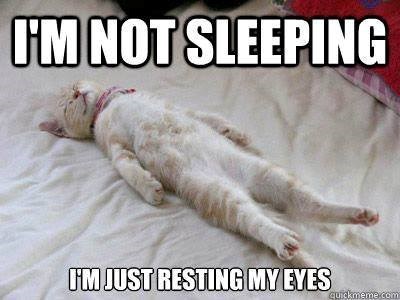 I'M NOT SLEEPING I'M JUST RESTING MY EYES quickmeme.com