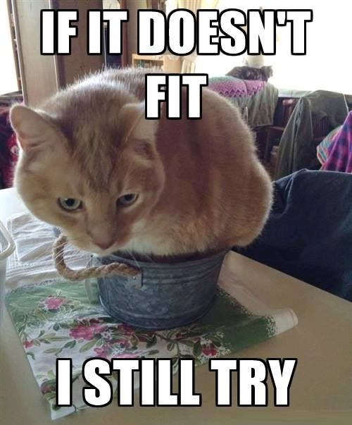 IF IT DOESN'T FIT I STILL TRY