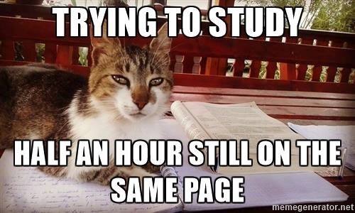 TRYING TO STUDY HALF AN HOUR STILL ON THE SAME PAGE memegenerator.net