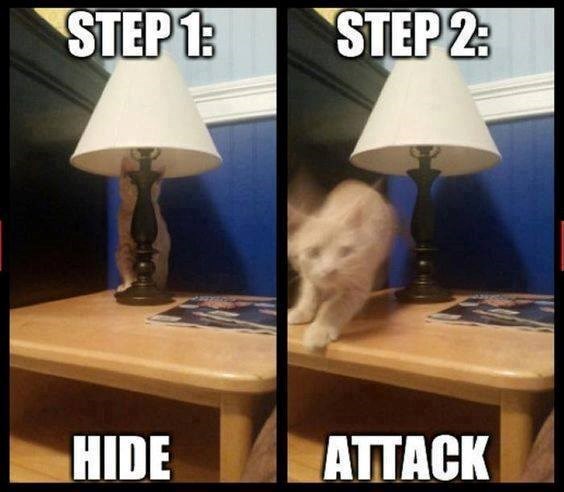 STEP 1: STEP 2: HIDE ATTACK