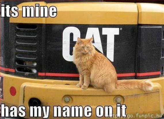 its mine CAT has my name on it tgo. funpic.hu