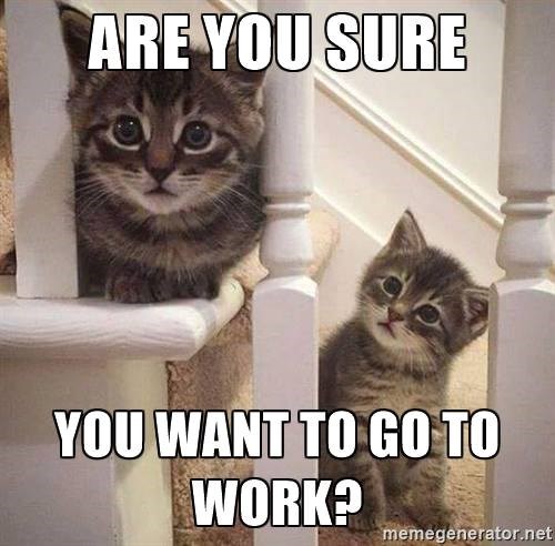 ARE YOU SURE YOU WANT TO GO TO WORK? memegenerator.net