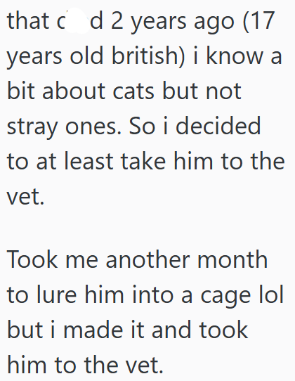 that c d 2 years ago (17 years old british) i know a bit about cats but not stray ones. So i decided to at least take him to the vet. Took me another month to lure him into a cage lol but i made it and took him to the vet.