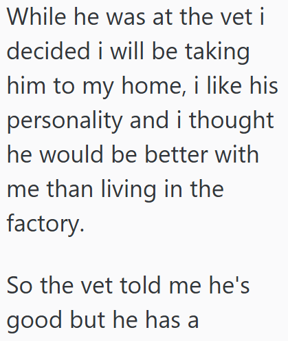 While he was at the vet i decided i will be taking him to my home, i like his personality and i thought he would be better with me than living in the factory. So the vet told me he's good but he has a