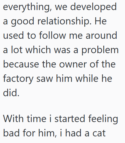 everything, we developed a good relationship. He used to follow me around a lot which was a problem because the owner of the factory saw him while he did. With time i started feeling bad for him, i had a cat