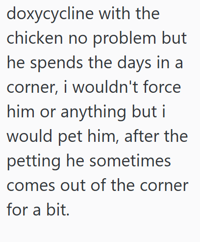 doxycycline with the chicken no problem but he spends the days in a corner, i wouldn't force him or anything but i would pet him, after the petting he sometimes comes out of the corner for a bit.