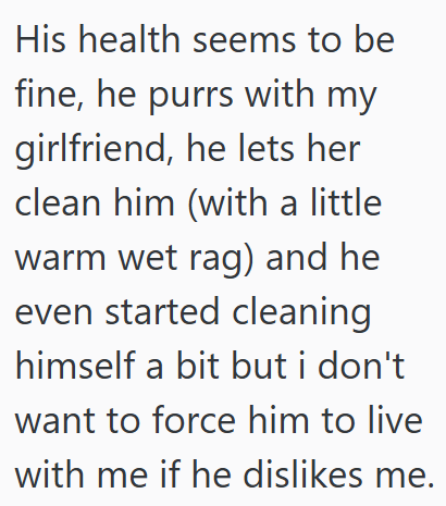 His health seems to be fine, he purrs with my girlfriend, he lets her clean him (with a little warm wet rag) and he even started cleaning himself a bit but i don't want to force him to live with me if he dislikes me.