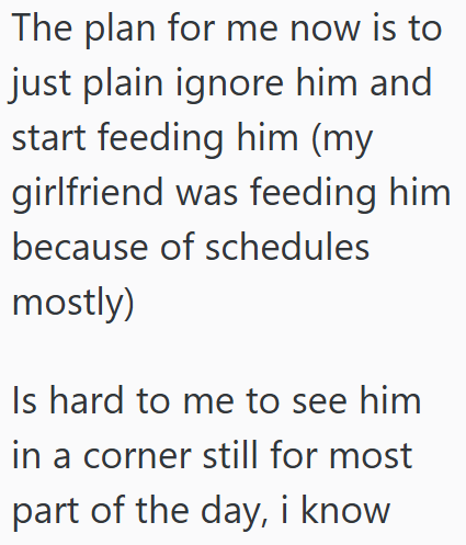 The plan for me now is to just plain ignore him and start feeding him (my girlfriend was feeding him because of schedules mostly) Is hard to me to see him in a corner still for most part of the day, i know