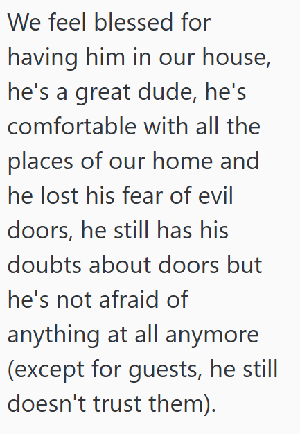 We feel blessed for having him in our house, he's a great dude, he's comfortable with all the places of our home and he lost his fear of evil doors, he still has his doubts about doors but he's not afraid of anything at all anymore (except for guests, he still doesn't trust them).