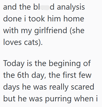 and the blod analysis done i took him home with my girlfriend (she loves cats). Today is the begining of the 6th day, the first few days he was really scared but he was purring when i