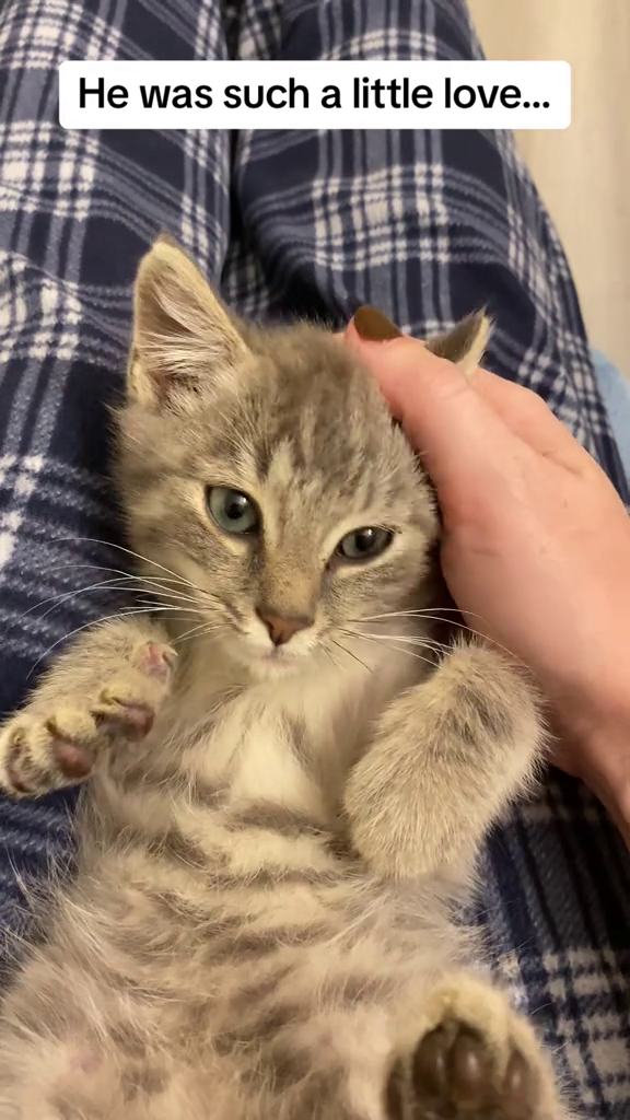He was such a little love...