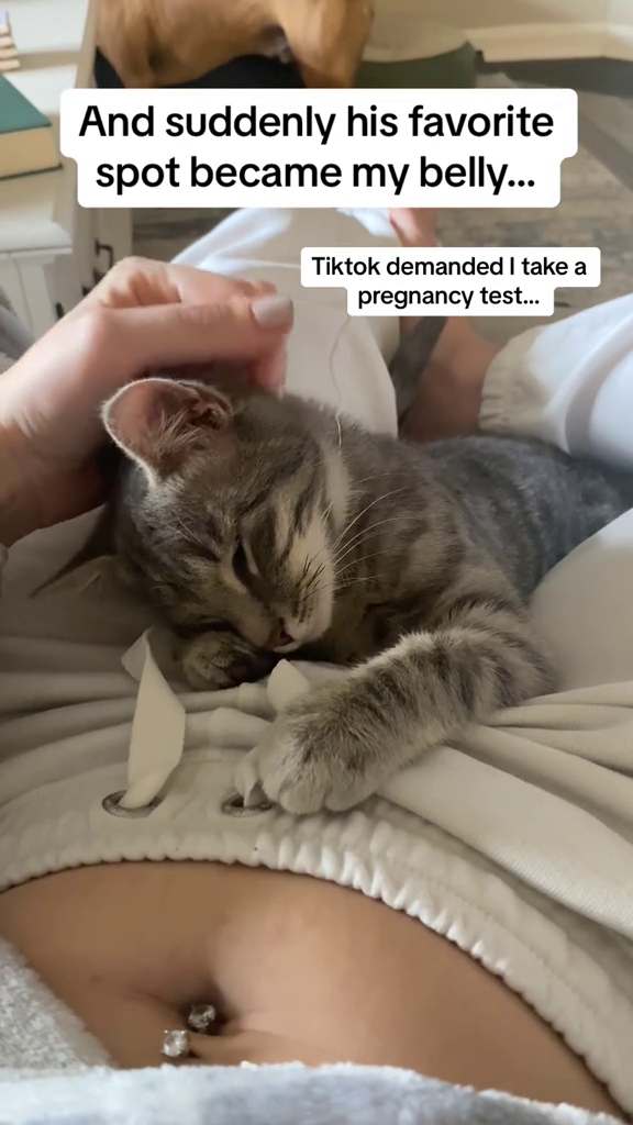 And suddenly his favorite spot became my belly... Tiktok demanded I take a pregnancy test...