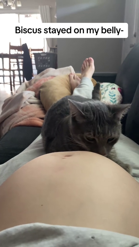 Biscus stayed on my belly-