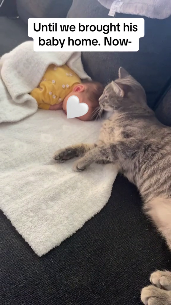 Until we brought his baby home. Now-