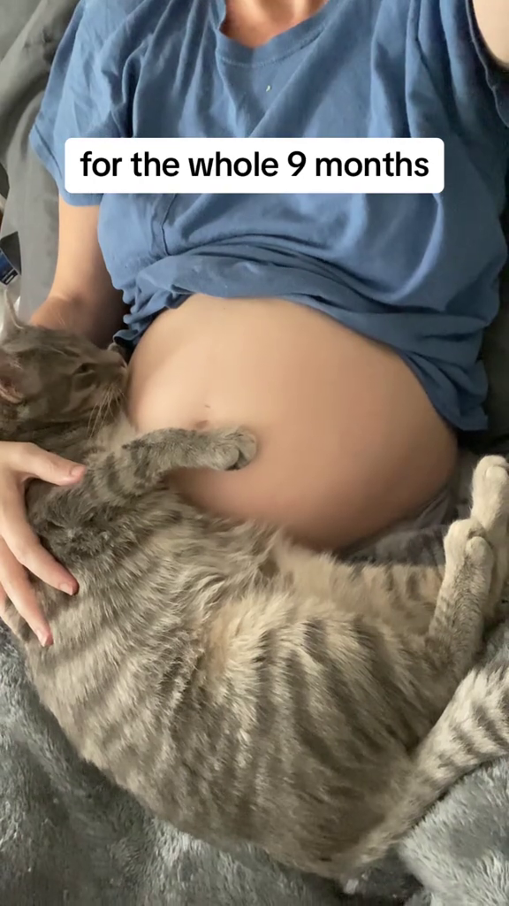 for the whole 9 months