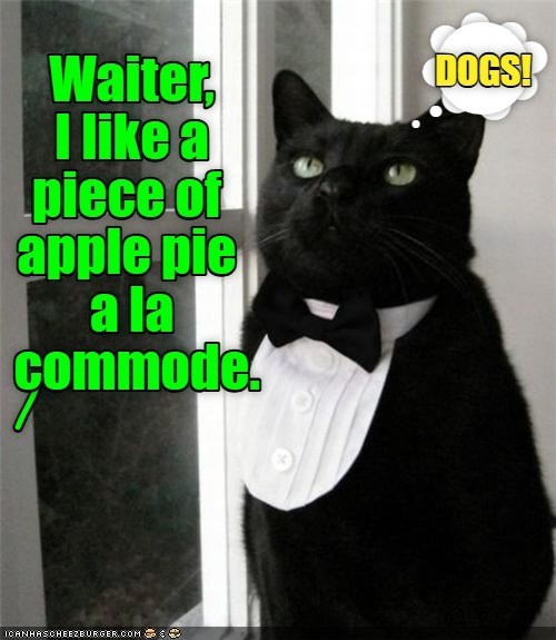 Waiter I like a piece of apple pie a la commode. ICANHASCHEEZBURGER.COM : DOGS!