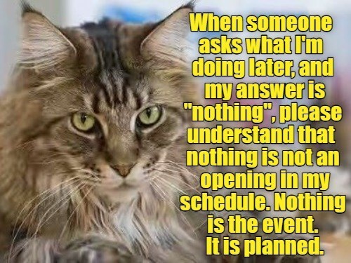 When someone asks what I'm doing later, and my answer is "nothing", please understand that nothing is not an opening in my schedule. Nothing is the event. It is planned.