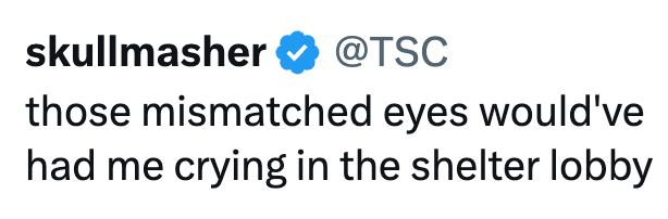 skullmasher @TSC those mismatched eyes would've had me crying in the shelter lobby