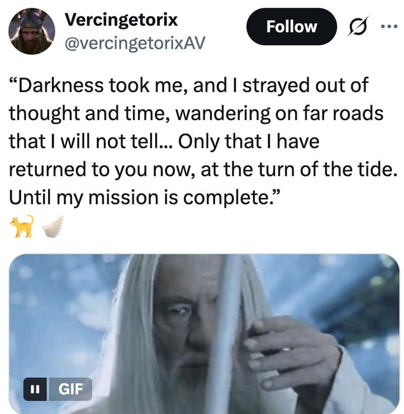 Vercingetorix @vercingetorixAV Follow 0 "Darkness took me, and I strayed out of thought and time, wandering on far roads that I will not tell... Only that I have returned to you now, at the turn of the tide. Until my mission is complete." || GIF