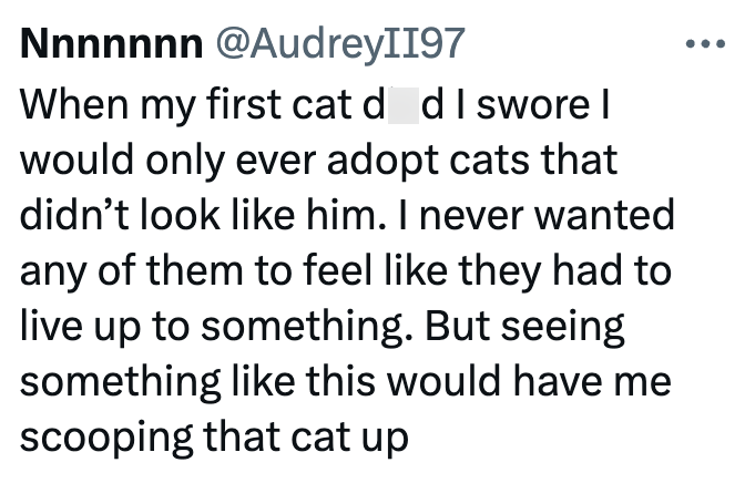 Nnnnnnn @AudreyII97 When my first cat d d I swore I would only ever adopt cats that didn't look like him. I never wanted any of them to feel like they had to live up to something. But seeing something like this would have me scooping that cat up