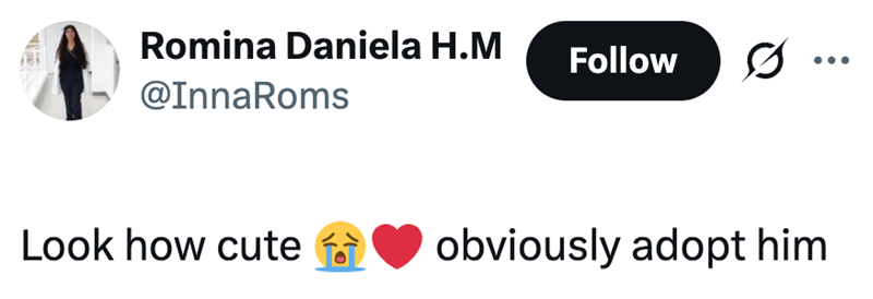 Romina Daniela H.M @InnaRoms Look how cute Follow obviously adopt him