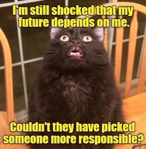 I'm still shocked that my future depends on me. Couldn't they have picked Someone more responsible?