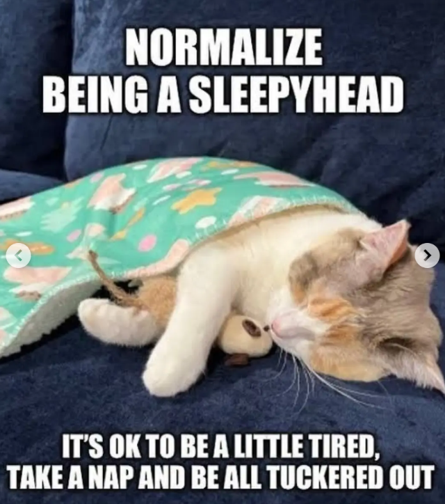 NORMALIZE BEING A SLEEPYHEAD IT'S OK TO BE A LITTLE TIRED, TAKE A NAP AND BE ALL TUCKERED OUT >