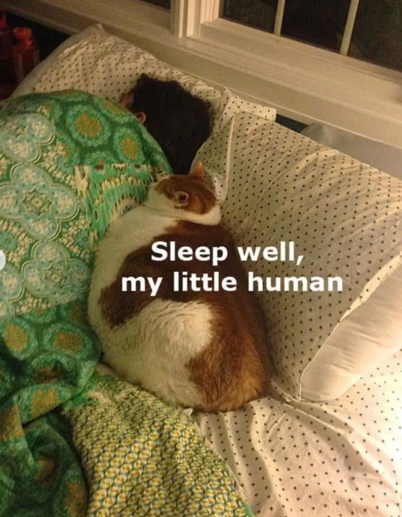 Sleep well, my little human