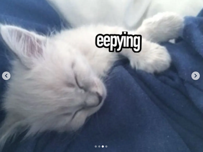 < eepying