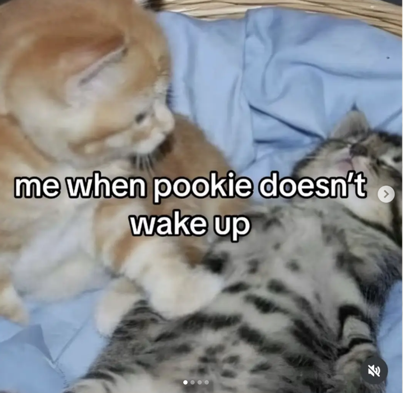 me when pookie doesn't wake up 71