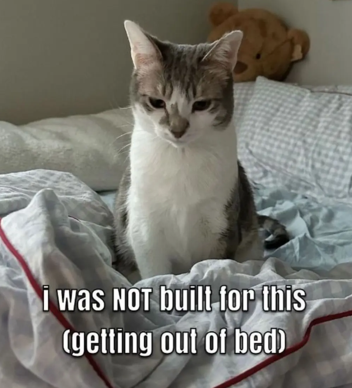 i was NOT built for this (getting out of bed)