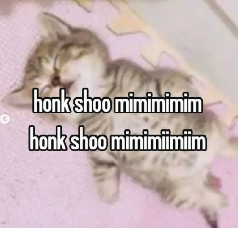 honk shoo mimimimim honk shoo mimimiimiim