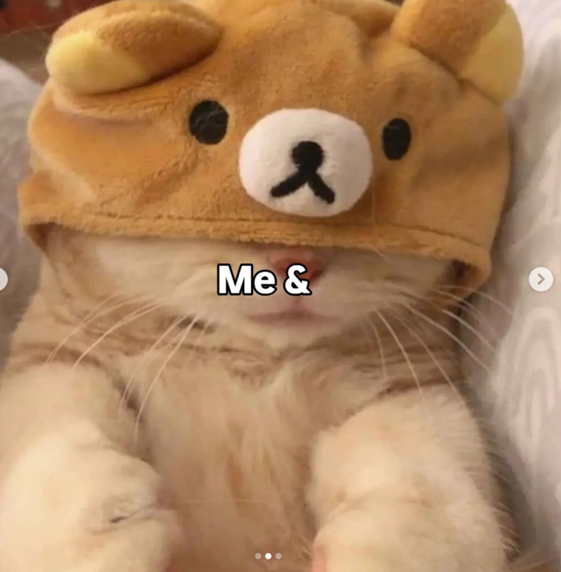 Me & >