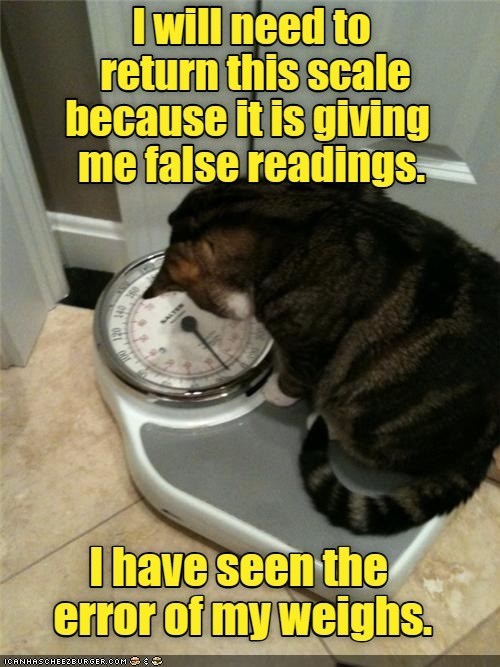 I will need to return this scale because it is giving me false readings. I have seen the error of my weighs. ICANHASCHEEZBURGER.COM : ❤